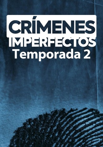 Crímenes imperfectos 2