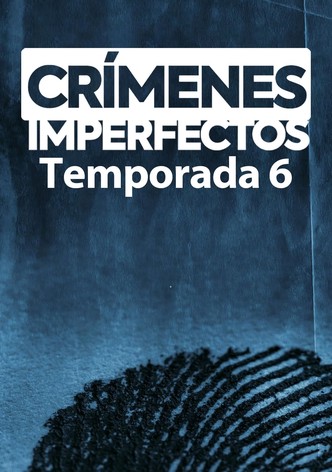 Crímenes imperfectos 6