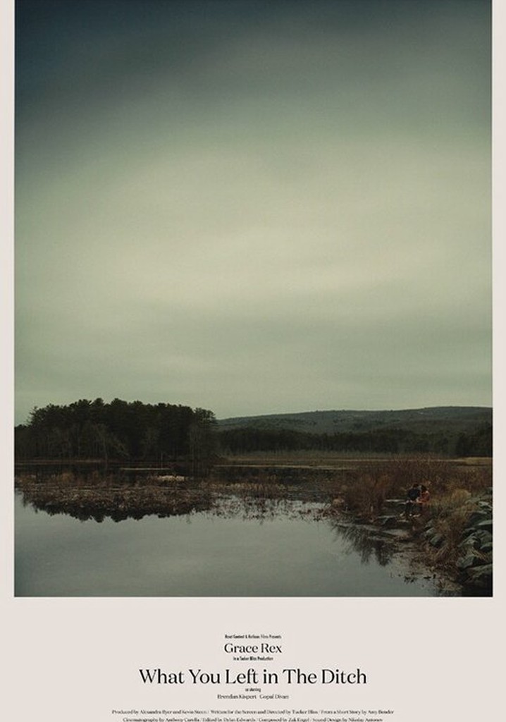 What You Left in the Ditch