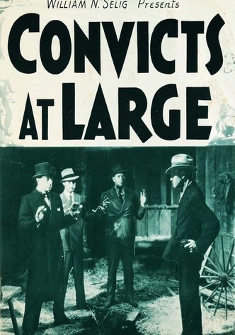 Convicts at Large