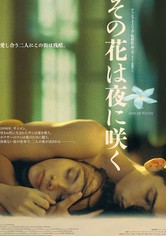 その花は夜に咲く