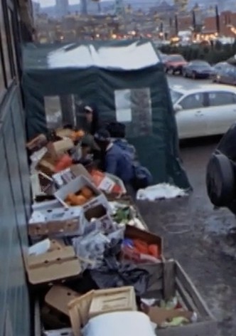 Surfing the Waste: a Musical Documentary about Dumpster Diving