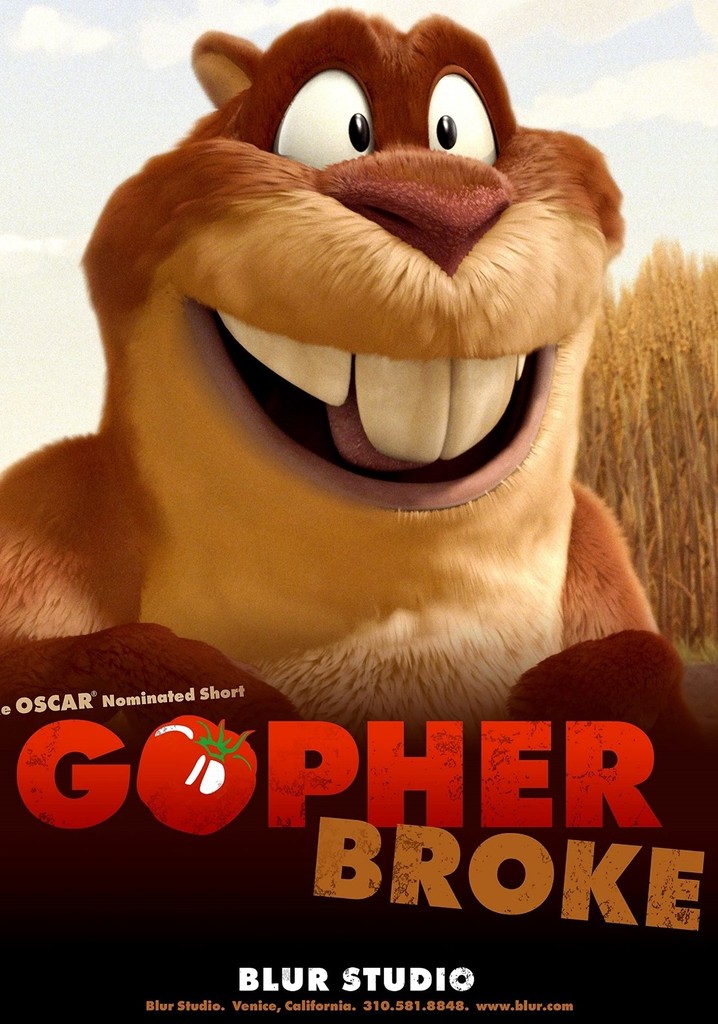 Gopher Broke