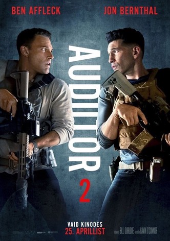 Audiitor 2