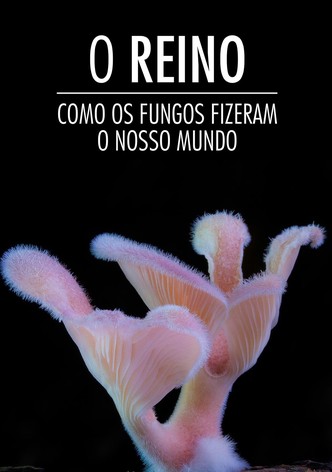 The Kingdom: How Fungi Made Our World