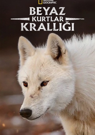 Beyaz Kurtlar Krallığı