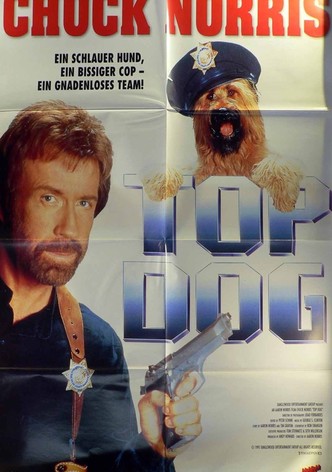 Top Dog