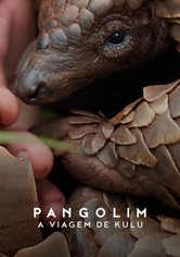 Pangolins: A Viagem de Kulu