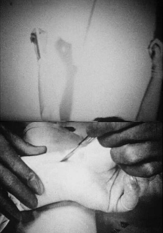 Blicklust