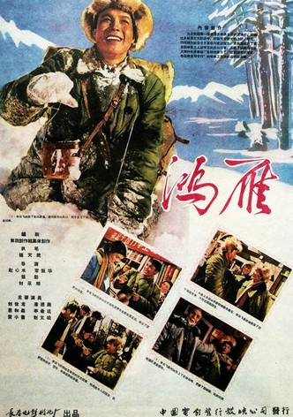 鸿雁