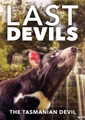 Tasmaniens Beuteltiere - Teufel ohne Zukunft?