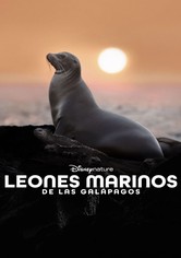 Los leones marinos de las Galápagos
