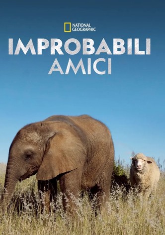 Improbabili amici