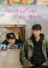 Kirschblüten nach dem Winter