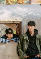 Kirschblüten nach dem Winter