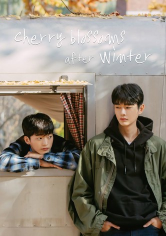 Kirschblüten nach dem Winter