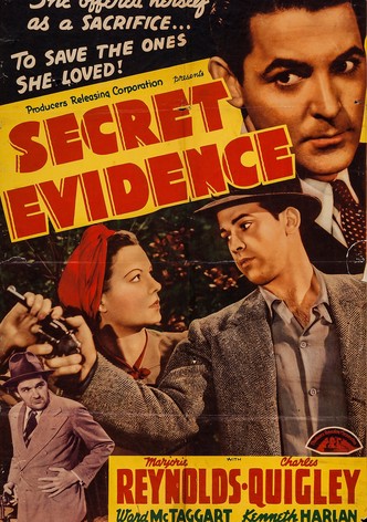 Secret Evidence