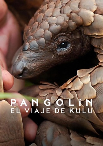 Pangolín: El viaje de Kulu