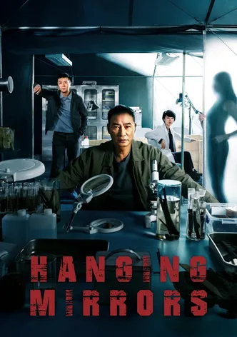 Hanging Mirrors poster