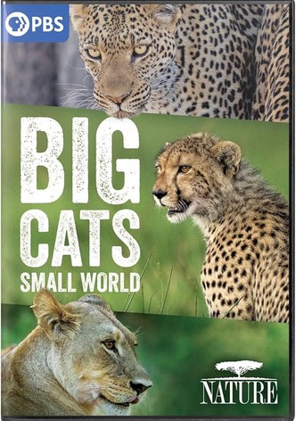 Big Cats, Small World