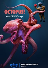 Octopus!