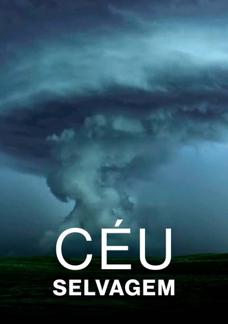 Céu Selvagem