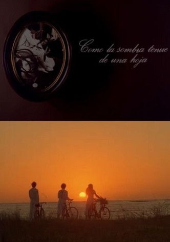 Como la sombra tenue de una hoja