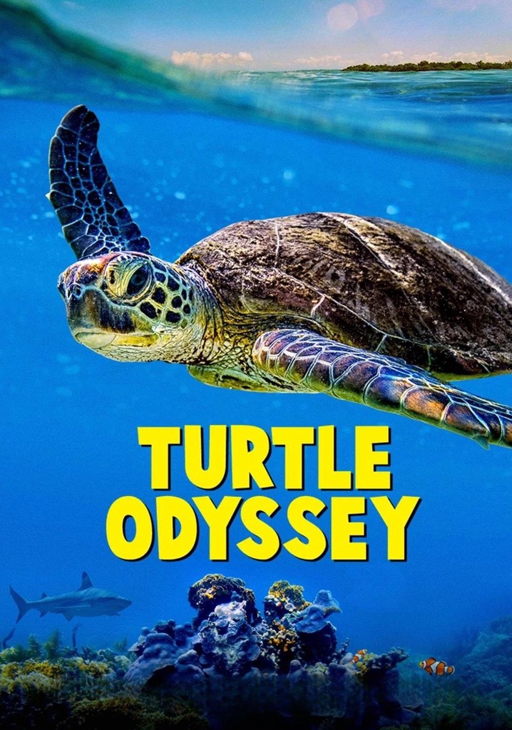Turtle Odyssey
