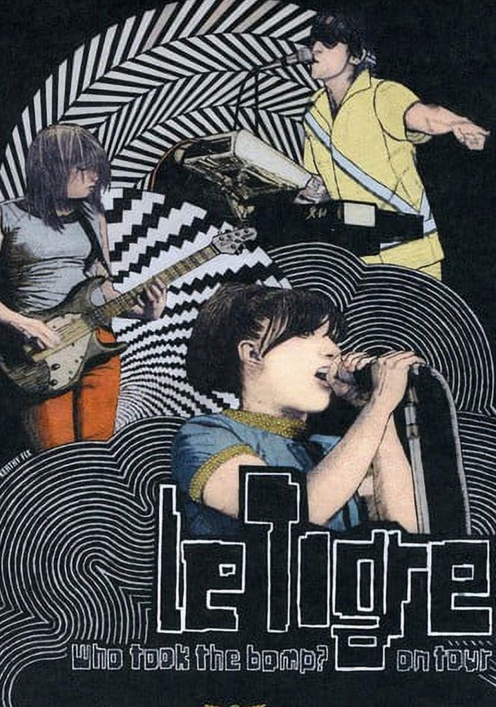 Who Took the Bomp? Le Tigre on Tour