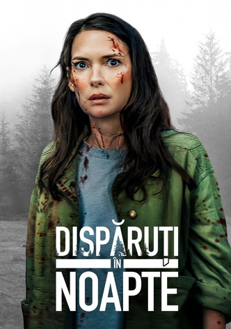 Dispăruți în noapte