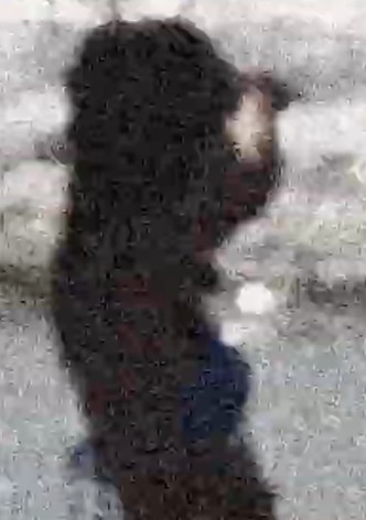 Paul's Dream