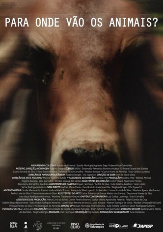 Para Onde Vão Os Animais