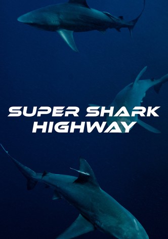 Super Shark Highway - Temporada 1