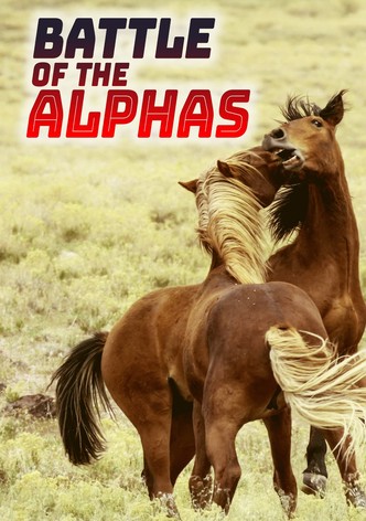 Battle of the Alphas