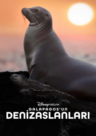 Galapagos'un Denizaslanları