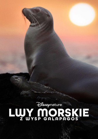 Lwy morskie z wysp Galapagos