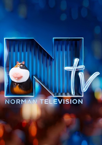 Norman Television