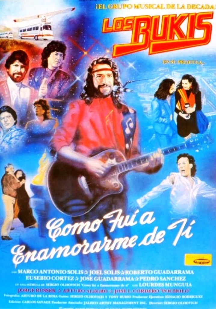 How Did I Come to Fall in Love With You?