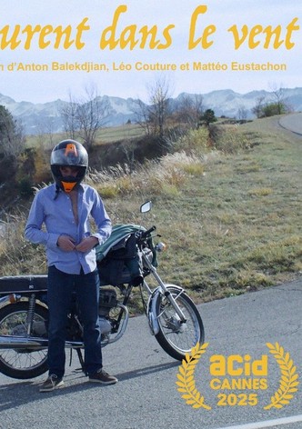 Laurent dans le vent