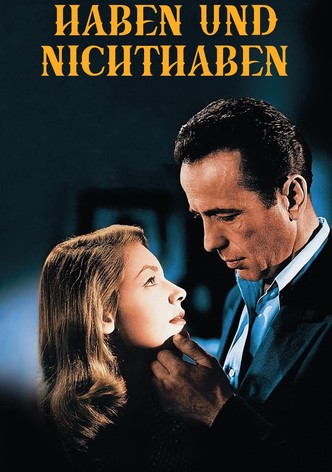 Haben und Nichthaben