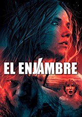 El Enjambre
