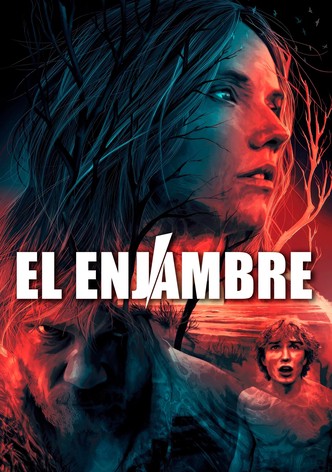El Enjambre