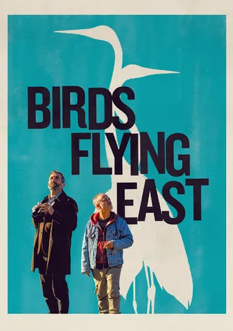 Pájaros poster