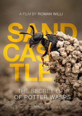Sandcastle - The Secret Life Of Potter Wasps