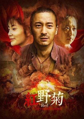 红野菊