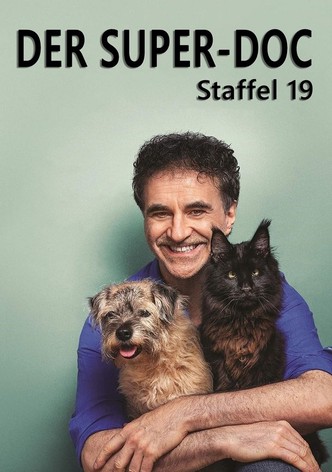 Staffel 19