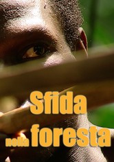Sfida nella foresta