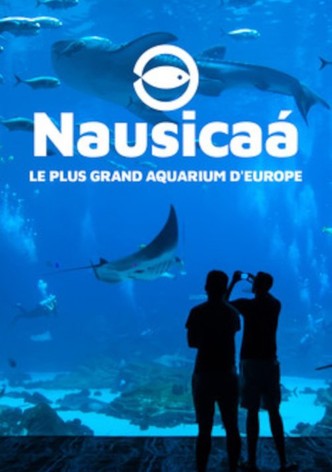 Nausicaa, le plus grand aquarium d'Europe
