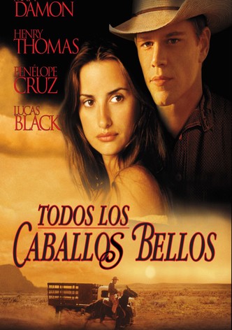 Todos los caballos bellos