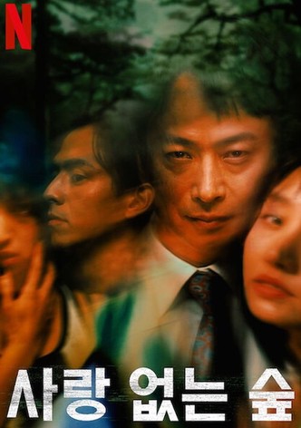 사랑 없는 숲: 깊은 상처